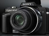 Sony Cyber-shot DSC-H10 Sony Cyber-shot DSC-H10