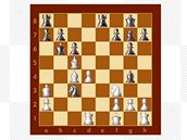 Wii Chess Wii Chess