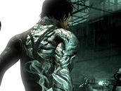 Dark Sector