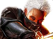 Tenchu: Shadow Assassins Tenchu: Shadow Assassins