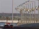 Lewis Hamilton z Brit�nie
