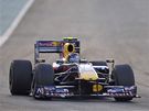 Velk� cena Ab� Z�b�: Sebastian Vettel