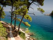 Chorvatsko, Kvarnerské ostrovy, Veli Lošinj