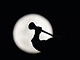 VUVUZELA. Fanou�ek Ghany p�ed z�pasem se Spojen�mi st�ty.