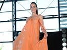 M�dn� p�ehl�dka a v�stava na ruzy�sk�m leti�ti - Lucie V�chov�