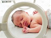 Ru�en� kojeneck�ch �stav� nep�jde podle Pavla �m�da tak rychle, jak si st�t stanovil (ilustra�n� sn�mek).