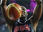 Lamar Odom z USA smečuje během finále mistrovství světa Lamar Odom z USA smečuje během finále mistrovství světa
