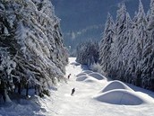 Krkonoše, Skiaréna Černá hora - Janské Lázně