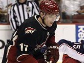 SHORA I ZDOLA. Je jedno, jakým způsobem, hlavně zasáhnout puk. Zdá se, že Radim Vrbata (č. 17) z Phoenixu situaci zvládne, ale jestli má Derek Dorsett z Columbusu hokejku už v pohybu, po ledě mu projede jako namazaná a zasáhne černý předmět dřív. SHORA I ZDOLA. Je jedno, jakým způsobem, hlavně zasáhnout puk. Zdá se, že Radim Vrbata (č. 17) z Phoenixu situaci zvládne, ale jestli má Derek Dorsett z Columbusu hokejku už v pohybu, po ledě mu projede jako namazaná a zasáhne černý předmět dřív.