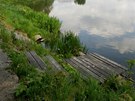 Bývalá plovárna na břehu Orlice v Hradci Králové Bývalá plovárna na břehu Orlice v Hradci Králové