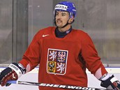 J�GR�V PAR��K. �to�n�k Tom� Plekanec dorazil z Montrealu do Bratislavy, tren�r pro n�j v sestav� vyhradil m�sto v �toku Jarom�ra J�gra.