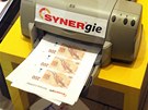 Jedna z pou�it�ch rekvizit performance um�leck� skupiny Guma Guar, kter� v Liberci tvrd� kritizovala vliv stavebn� firmy Syner.