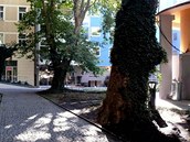 Zahrada n�kupn� galerie Slovansk�ho domu v Praze Na P��kopech.