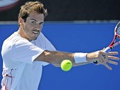 Tommy Haas