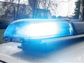 Policist� museli dvakr�t vyst�elit do vzduchu, aby prchaj�c�ho mu�e zastavili. Ilustra�n� sn�mek