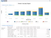 Business Intelligence pro Centrum Holdings 