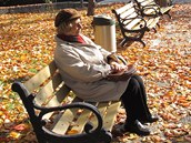 Osamocen� seniorka je v�tan�m c�lem zbab�l�ch lupi��. (Ilustra�n� sn�mek)