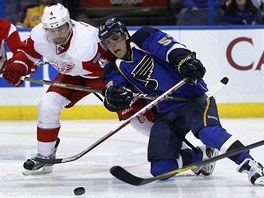 DŮRAZ. Jakub Kindl z Detroitu (vlevo) v souboji s Davidem Perronem ze St. DŮRAZ. Jakub Kindl z Detroitu (vlevo) v souboji s Davidem Perronem ze St.