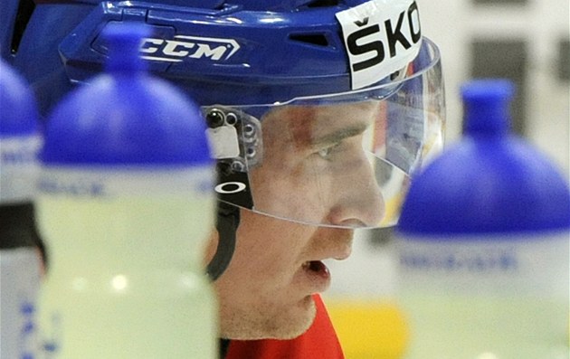 Roman �ervenka