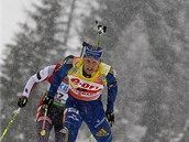 Carl Bergman 