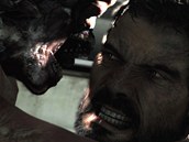 Last of Us