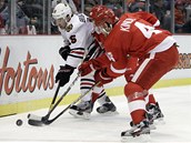 �ECH V AKCI. Obr�nce Detroitu Jakub Kindl (vpravo) p�ij�d� k mantinelu, aby