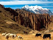 Pohled z ka�onu Palca na horu Illimani