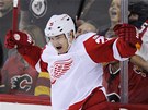 V�T�ZN� G�L. Ji�� Hudler z Detroitu slav� svoji d�le�itou trefu proti Calgary.