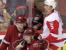 RADOST A FRUSTRACE. Martin Hanzal (vlevo) a Ray Whitney se raduj� z g�lu