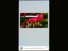 Nokia Lumia 800 u�ivatelsk� prost�ed�