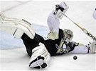 STONO�KA. Marc-Andre Fleury se rozt�hl, jak mohl, aby nepustil puk do