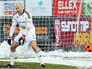 P�EKONANÝ BRANKÁ�. Radek S�ozík, gólman a kapitán fotbalist� Bohemians, se...