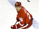Ji�� Hudler