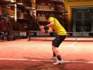 Virtua Tennis 4: World Tour Edition