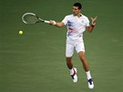 Novak Djokovi� v semifin�lov�m duelu s Andym Murrayem na turnaji v Dubaji.