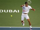 Novak Djokovi� v semifin�lov�m duelu s Andym Murrayem na turnaji v Dubaji.