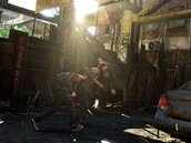 Last of Us Last of Us