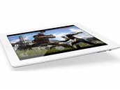 iPad iPad