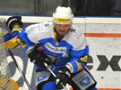 Hokejist� Plzn� dot�hli p�t� �tvrtfin�lov� z�pas extraligov�ho play off se