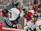 STRKANICE. Do poty�ky za brankou �esk�ch Bud�jovic se pustili libereck�