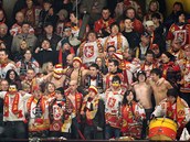 Trumfy hradeck�ho hokeje? Skv�l� fanou�ci a Martin Host�k.