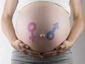 České porodní asistentky nemají k provádění domácích porodů registraci.