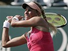 Andrea Hlav��kov� na turnaji v Charlestonu