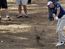 VYHNE SE STROM�M? Matt Kuchar p�i fin�lov�m kole Masters.