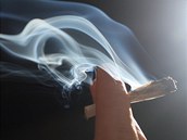 Str�n�ci se rozhodli zavolat z�chranku pot�, co jim mu� �ekl, �e nepo��dek zalet� oknem sebrat, proto�e um� l�tat. (Ilustra�n� sn�mek)