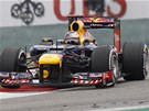 Sebastian Vettel p�i Velk� cen� ��ny.