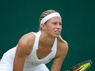 PREMI�RA. Andrea Hlav��kov� se poprv� p�edstav� v �esk�m fedcupov�m t�mu v