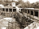 Stavba Pavilonu velk�ch savc�.