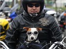 Olomou�t� motork��i v sobotu zah�jili sezonu srazem v Legion��sk� ulici a...