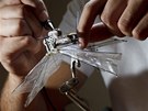 Izraelská firma IAI vyvíjí nový typ robota-motýla.
